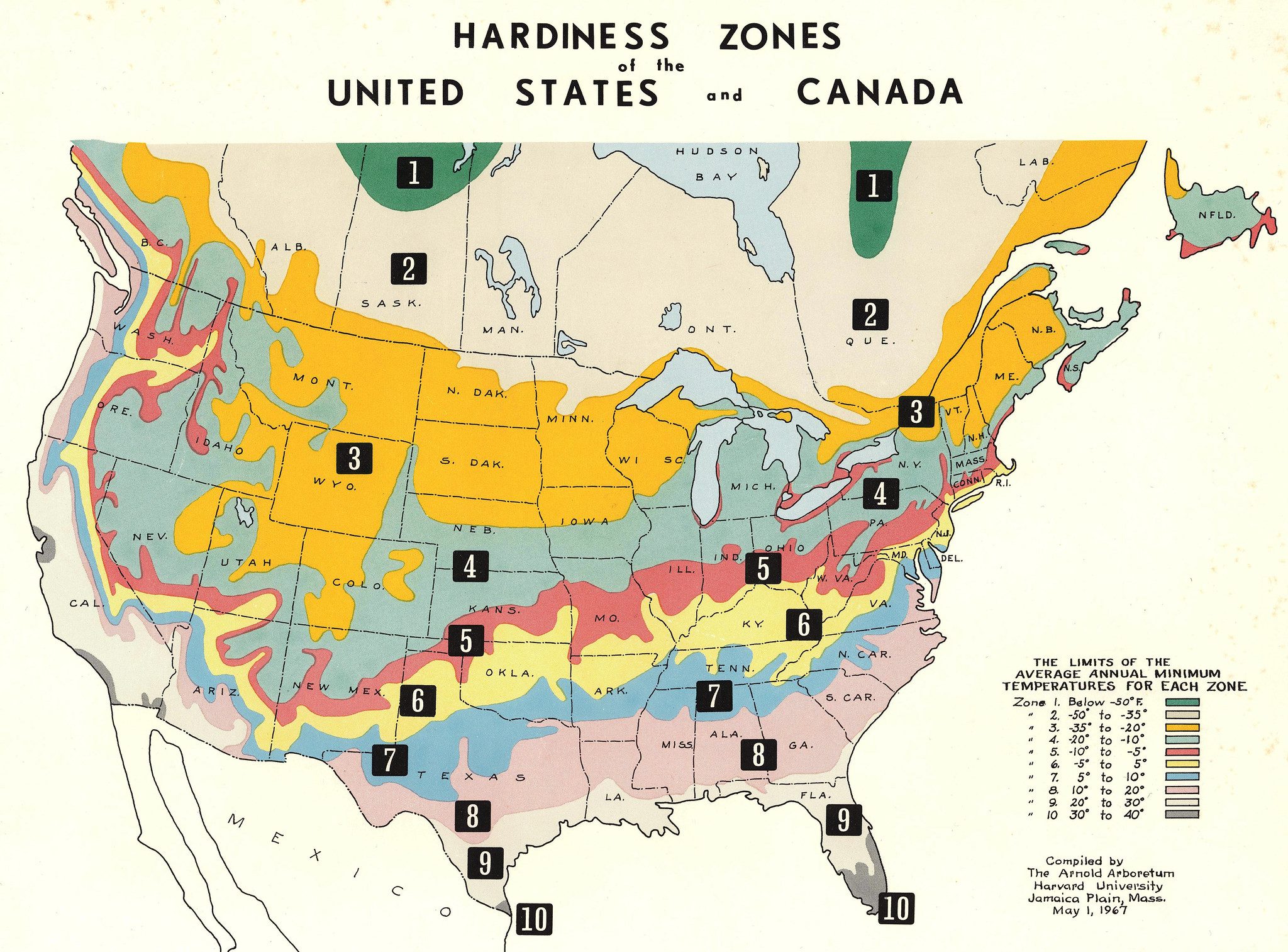 Hardiness zone Hardiness zone